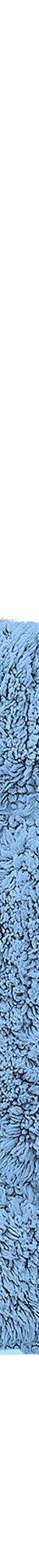 Tapis de bain losanges (bleu) Tapis de bain losanges (bleu)